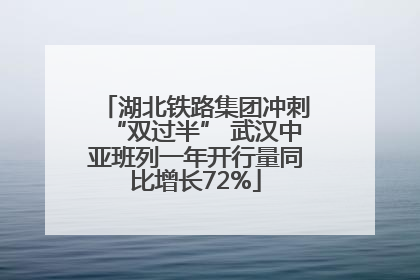 湖北铁路集团冲刺“双过半” 武汉中亚班列一年开行量同比增长72%