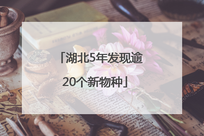 湖北5年发现逾20个新物种