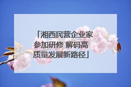 湘西民营企业家参加研修 解码高质量发展新路径