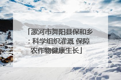 漯河市舞阳县保和乡：科学组织灌溉 保障农作物健康生长