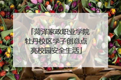 菏泽家政职业学院牡丹校区学子创意点亮校园安全生活