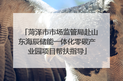 菏泽市市场监管局赴山东海辰储能一体化零碳产业园项目帮扶指导