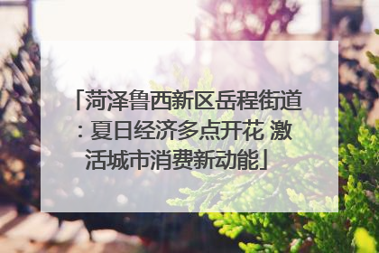 菏泽鲁西新区岳程街道：夏日经济多点开花 激活城市消费新动能