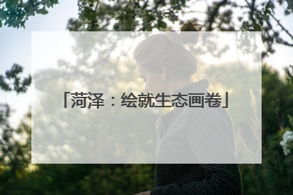 菏泽：绘就生态画卷