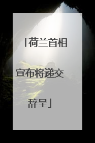 荷兰首相宣布将递交辞呈