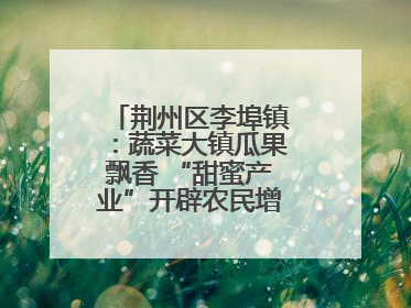 荆州区李埠镇：蔬菜大镇瓜果飘香 “甜蜜产业”开辟农民增收“新赛道”