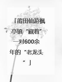 莆田仙游枫亭镇“藏着”一对600余年的“老龙头”