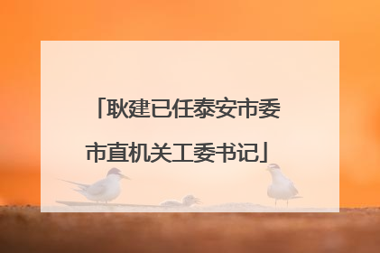 耿建已任泰安市委市直机关工委书记