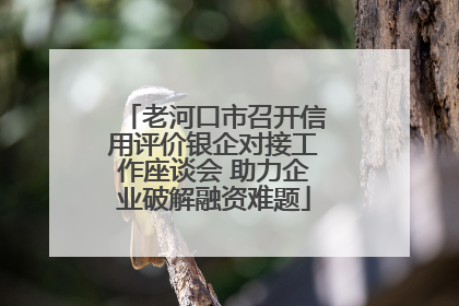老河口市召开信用评价银企对接工作座谈会 助力企业破解融资难题
