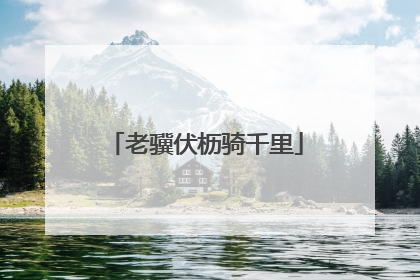 老骥伏枥骑千里