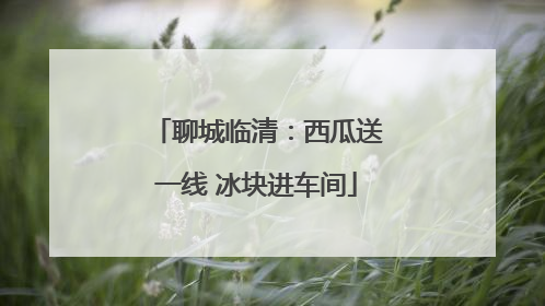 聊城临清：西瓜送一线 冰块进车间