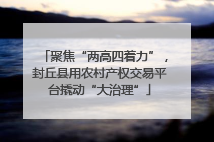 聚焦“两高四着力”，封丘县用农村产权交易平台撬动“大治理”
