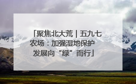 聚焦北大荒｜五九七农场：加强湿地保护 发展向“绿”而行
