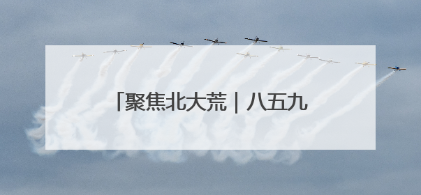 聚焦北大荒｜八五九农场深耕“林长制” 守护“生态绿”
