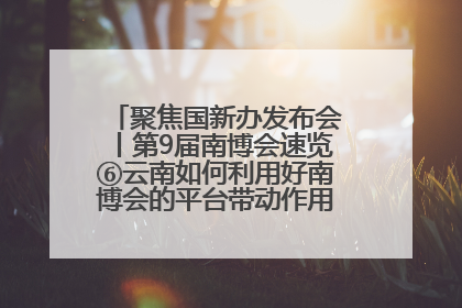 聚焦国新办发布会丨第9届南博会速览⑥云南如何利用好南博会的平台带动作用，深化与南亚国家的交流与合作？