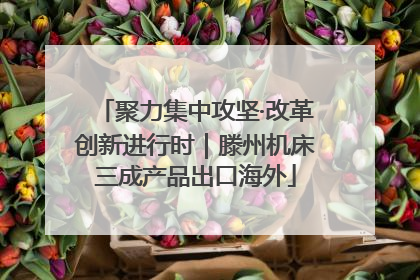 聚力集中攻坚·改革创新进行时｜滕州机床三成产品出口海外