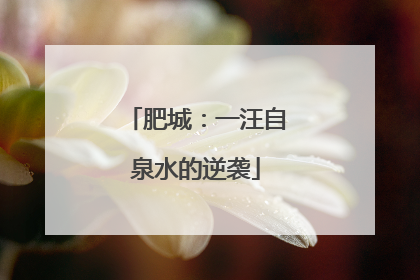 肥城：一汪自泉水的逆袭