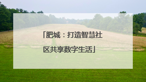肥城：打造智慧社区共享数字生活