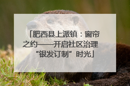 肥西县上派镇：窗帘之约——开启社区治理“银发订制”时光