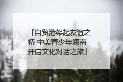 自贸港架起友谊之桥 中美青少年海南开启文化对话之旅