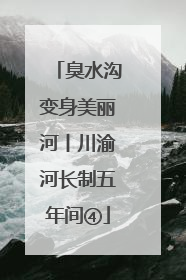 臭水沟变身美丽河丨川渝河长制五年间④