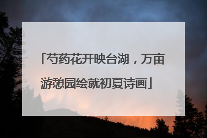 芍药花开映台湖，万亩游憩园绘就初夏诗画