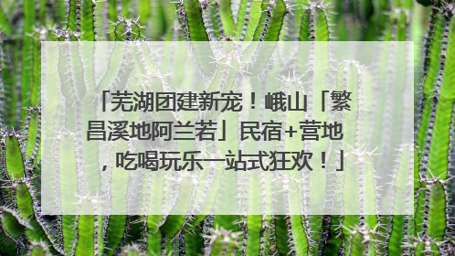 芜湖团建新宠！峨山「繁昌溪地阿兰若」民宿+营地，吃喝玩乐一站式狂欢！