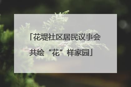 花堤社区居民议事会共绘“花”样家园