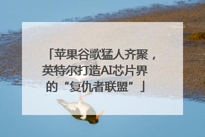 苹果谷歌猛人齐聚，英特尔打造AI芯片界的“复仇者联盟”