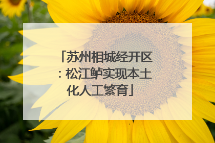 苏州相城经开区：松江鲈实现本土化人工繁育