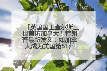 英国国王查尔斯三世首访加拿大！特朗普最新发文：如加拿大成为美国第51州可免费用“金穹”