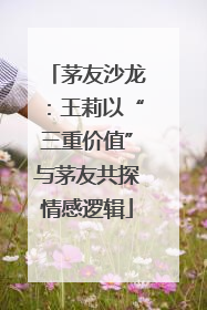 茅友沙龙：王莉以“三重价值”与茅友共探情感逻辑