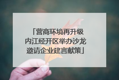 营商环境再升级 内江经开区举办沙龙邀请企业建言献策