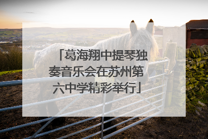 葛海翔中提琴独奏音乐会在苏州第六中学精彩举行