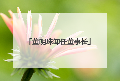 董明珠卸任董事长