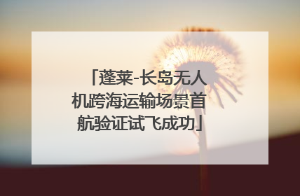 蓬莱-长岛无人机跨海运输场景首航验证试飞成功