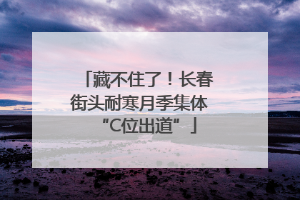 藏不住了！长春街头耐寒月季集体“C位出道”