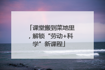 课堂搬到菜地里，解锁“劳动+科学”新课程