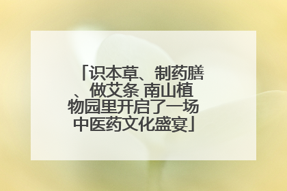 识本草、制药膳、做艾条 南山植物园里开启了一场中医药文化盛宴