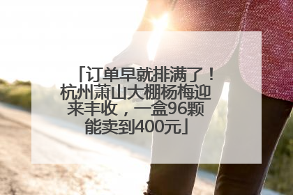 订单早就排满了！杭州萧山大棚杨梅迎来丰收，一盒96颗能卖到400元