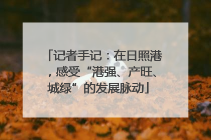 记者手记：在日照港，感受“港强、产旺、城绿”的发展脉动