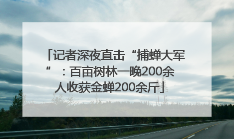 记者深夜直击“捕蝉大军”：百亩树林一晚200余人收获金蝉200余斤