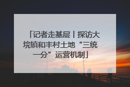 记者走基层丨探访大垸镇和丰村土地“三统一分”运营机制