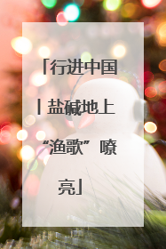 行进中国丨盐碱地上“渔歌”嘹亮
