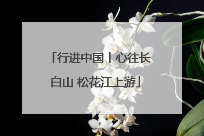 行进中国丨心往长白山 松花江上游