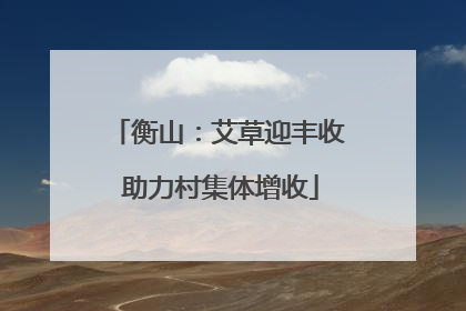 衡山：艾草迎丰收 助力村集体增收