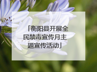 衡阳县开展全民禁毒宣传月主题宣传活动
