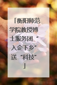 衡阳师范学院教授博士服务团“入企下乡”送“科技”