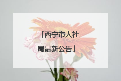 西宁市人社局最新公告