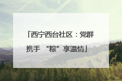 西宁西台社区：党群携手 “粽”享温情